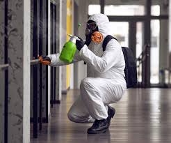 Why You Should Choose Our Mold Remediation Services in Waikoloa Village, HI